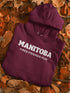 C & Win Sports Manitoba-Fires, Friends, Fun Hoodie (Double Sided) - C & Win Sports